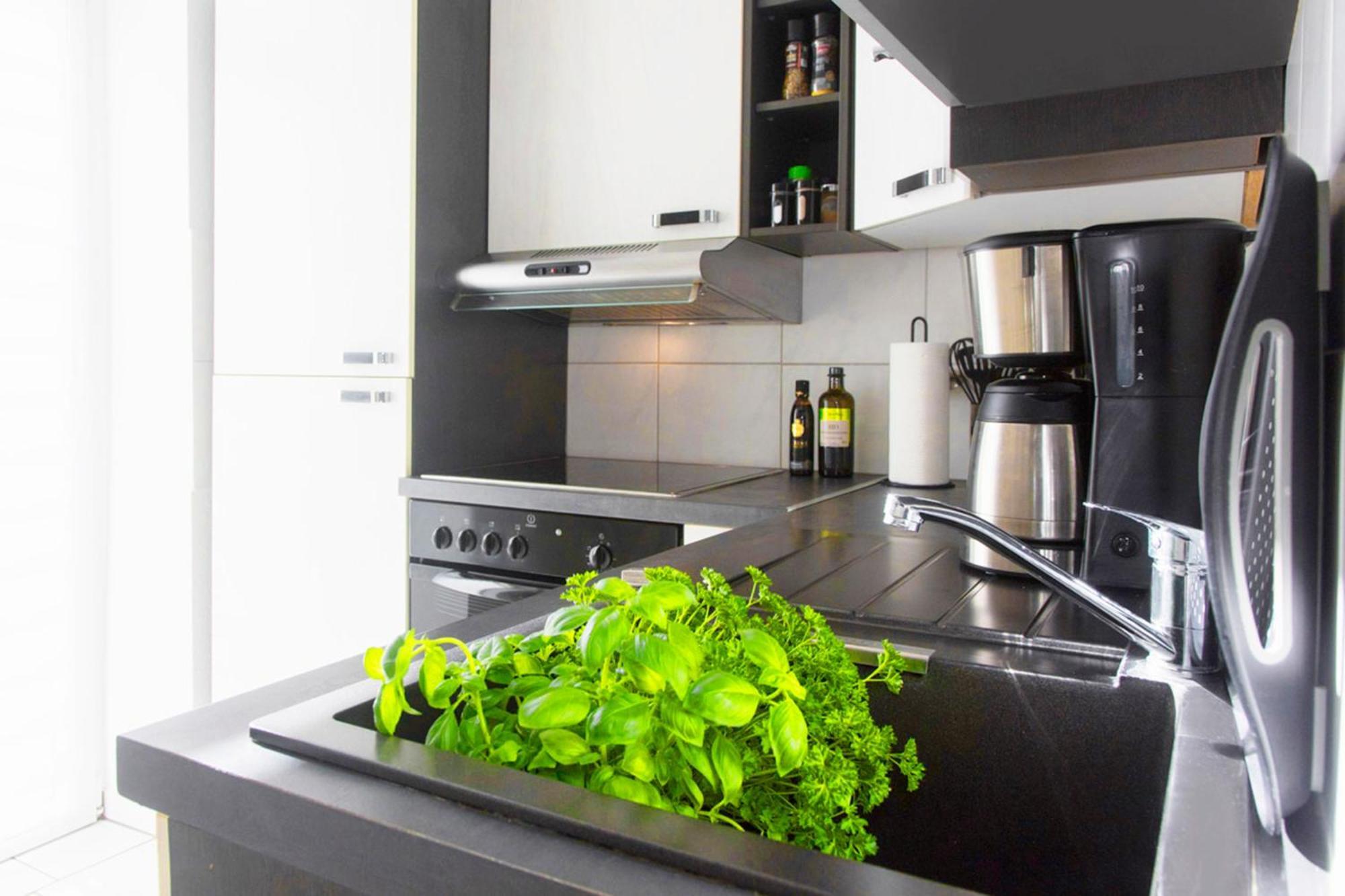 Bauhaus Design-Luxus Apartment, 20Er Jahre Stil, Garten Gera Exteriér fotografie