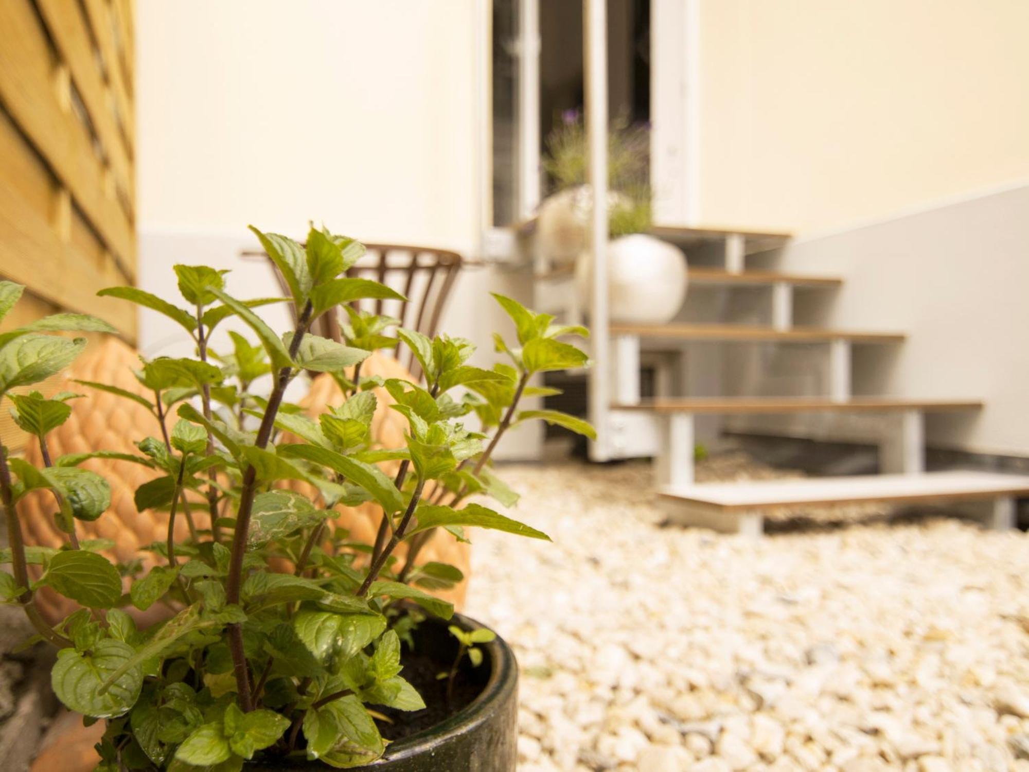 Bauhaus Design-Luxus Apartment, 20Er Jahre Stil, Garten Gera Exteriér fotografie